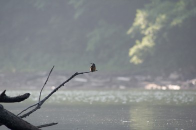 20160804_1