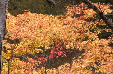 20161008_4