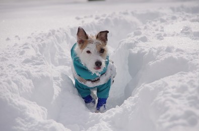 20170122_IMGP5397
