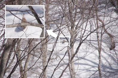 20180304_IMGP3703_1