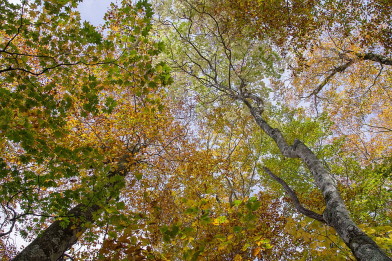 20181010_IMGP3983